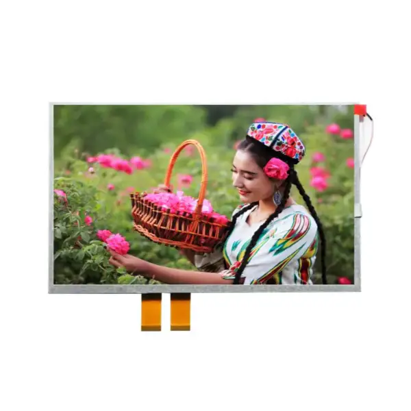 Innolux AT102TN03 LCD panel