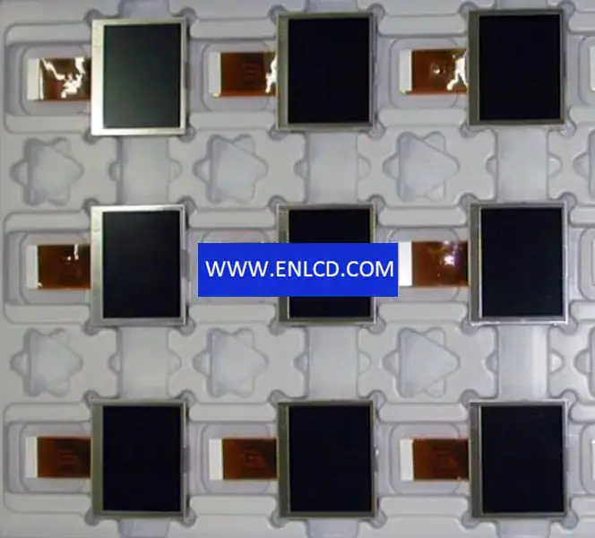 AUO A020BL01 V0 LCD-Panel