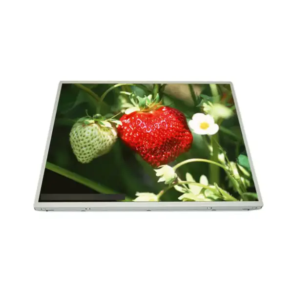 AUO G190ETN01.6 LCD panel