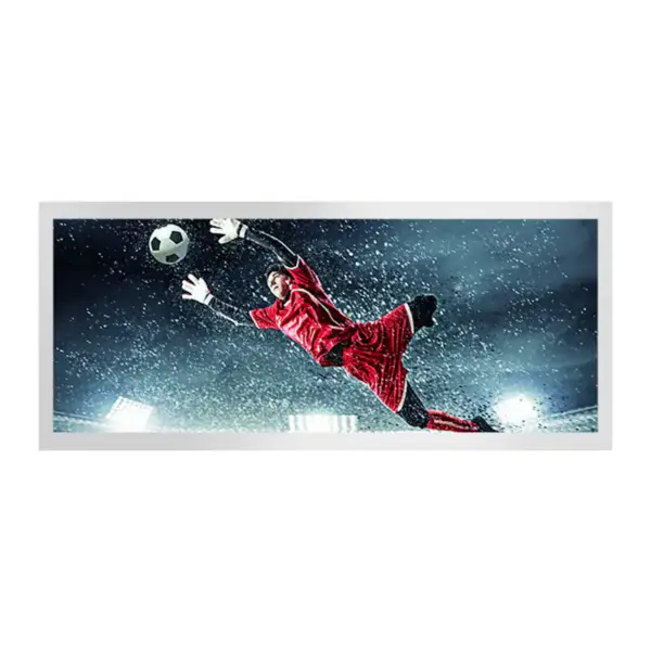 HannStar HSD103KPW2-A10 LCD panel