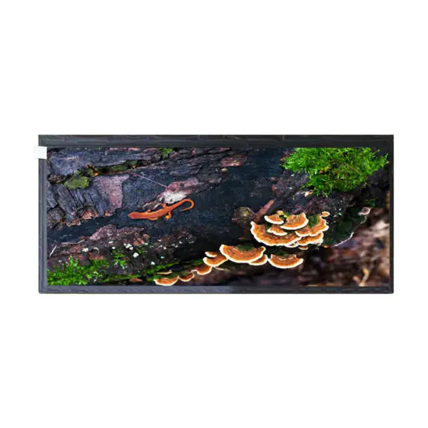 HannStar HSD123KPW2-A10 LCD panel