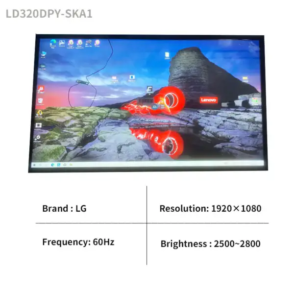 LG Display LD320DPY-SKA1 LCD panel