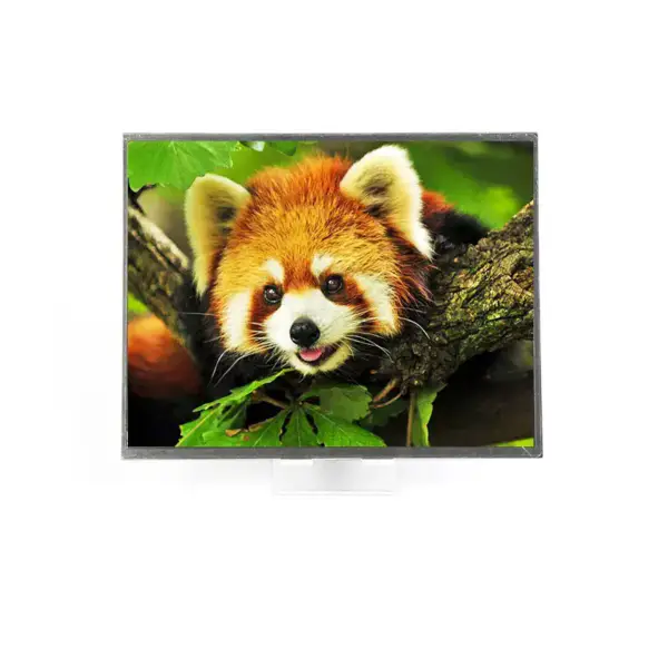 SHARP LQ121K1LG58 LCD panel