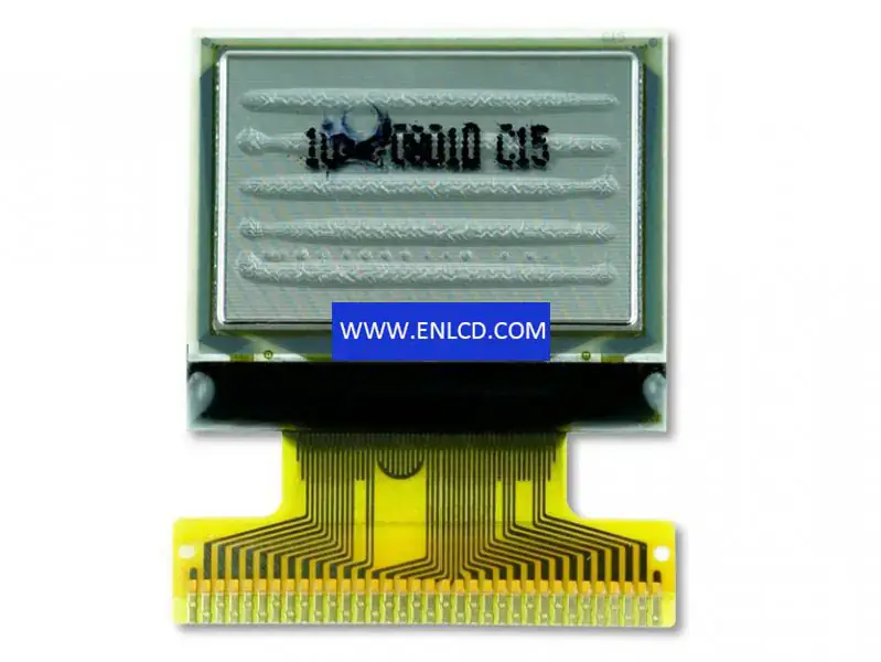RGS10096064FR020 RiTdisplay LCD panel
