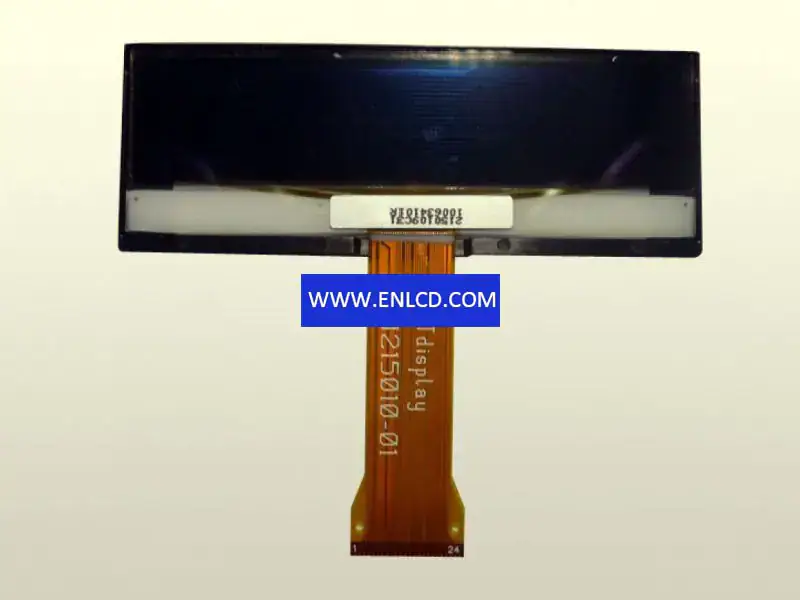 RGS24128022YR000 RiTdisplay LCD-Panel