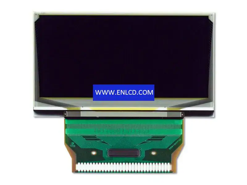 RGS24128064WW001 RiTdisplay LCD panel
