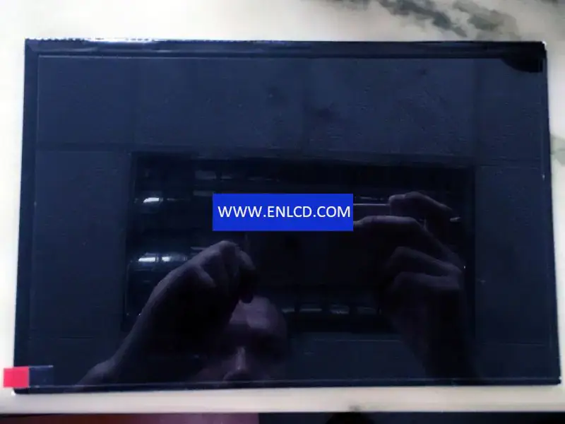Tianma TM101JDHP01 LCD panel
