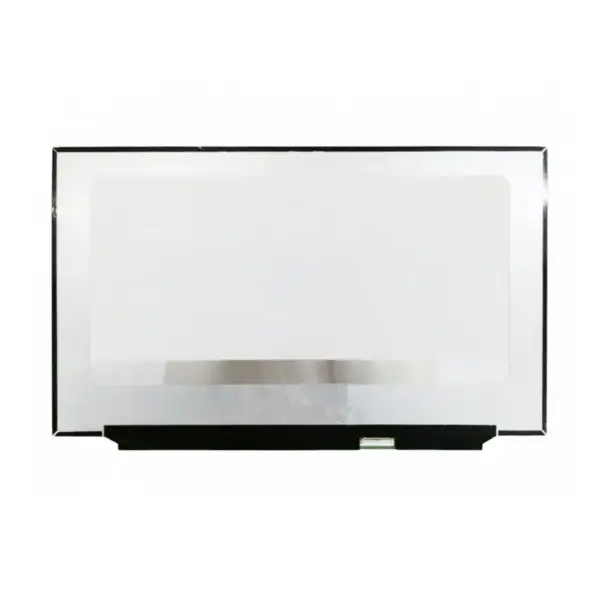 B173han05.0 17.3 Zoll Full-HD IPS Gaming LCD LED-Bildschirm ohne Halterung