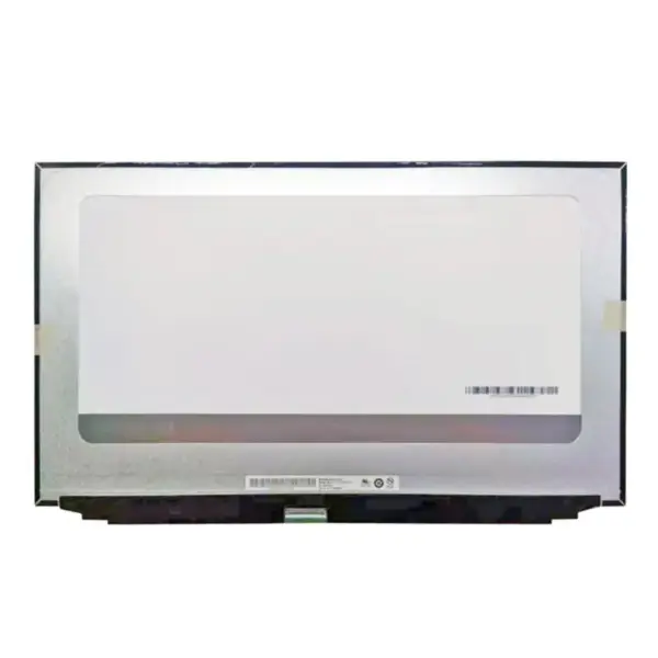 B173ZAN03.3 LCD-Bildschirm